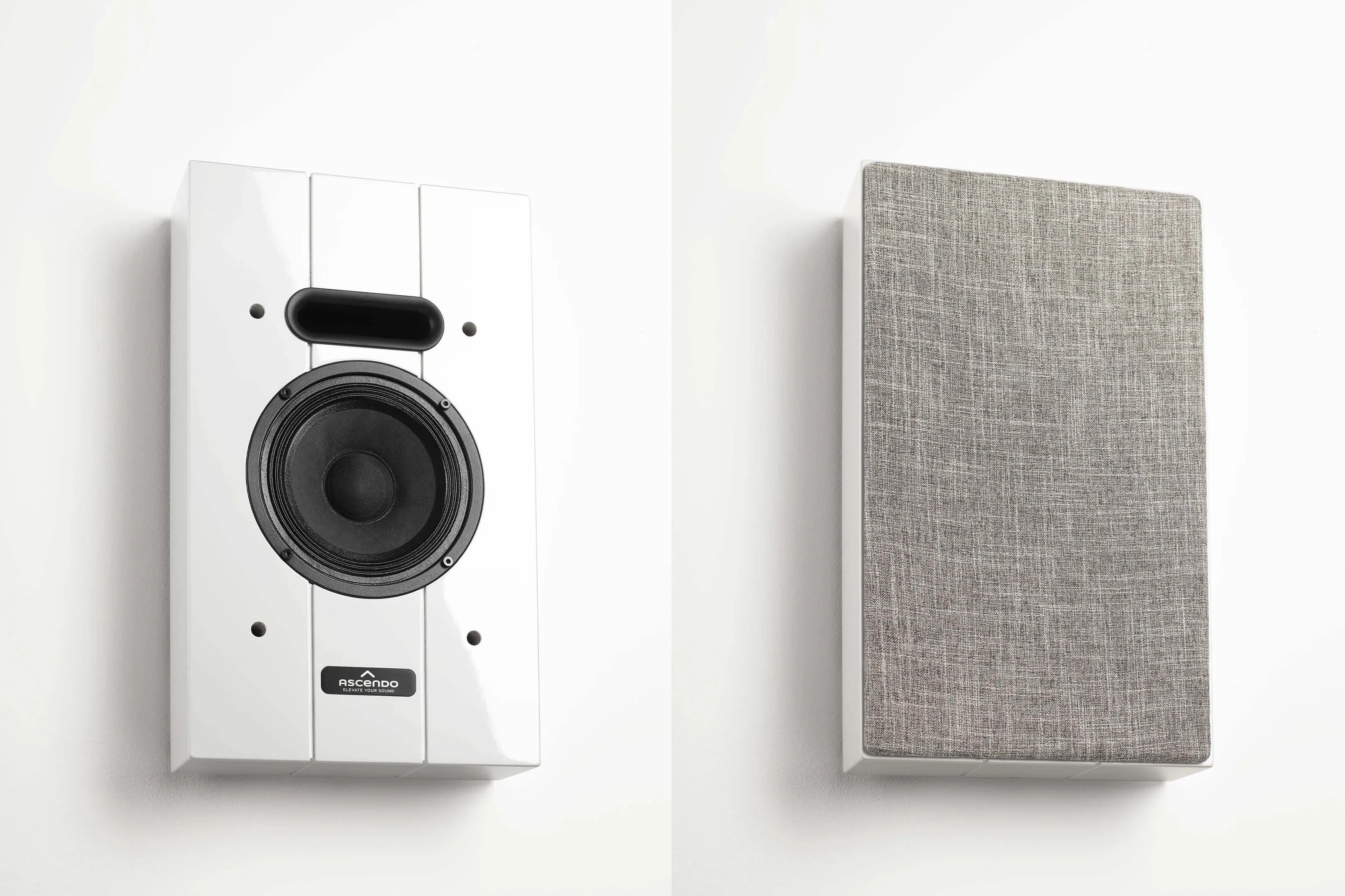 Gall-2 THE6_P_OW.jpg