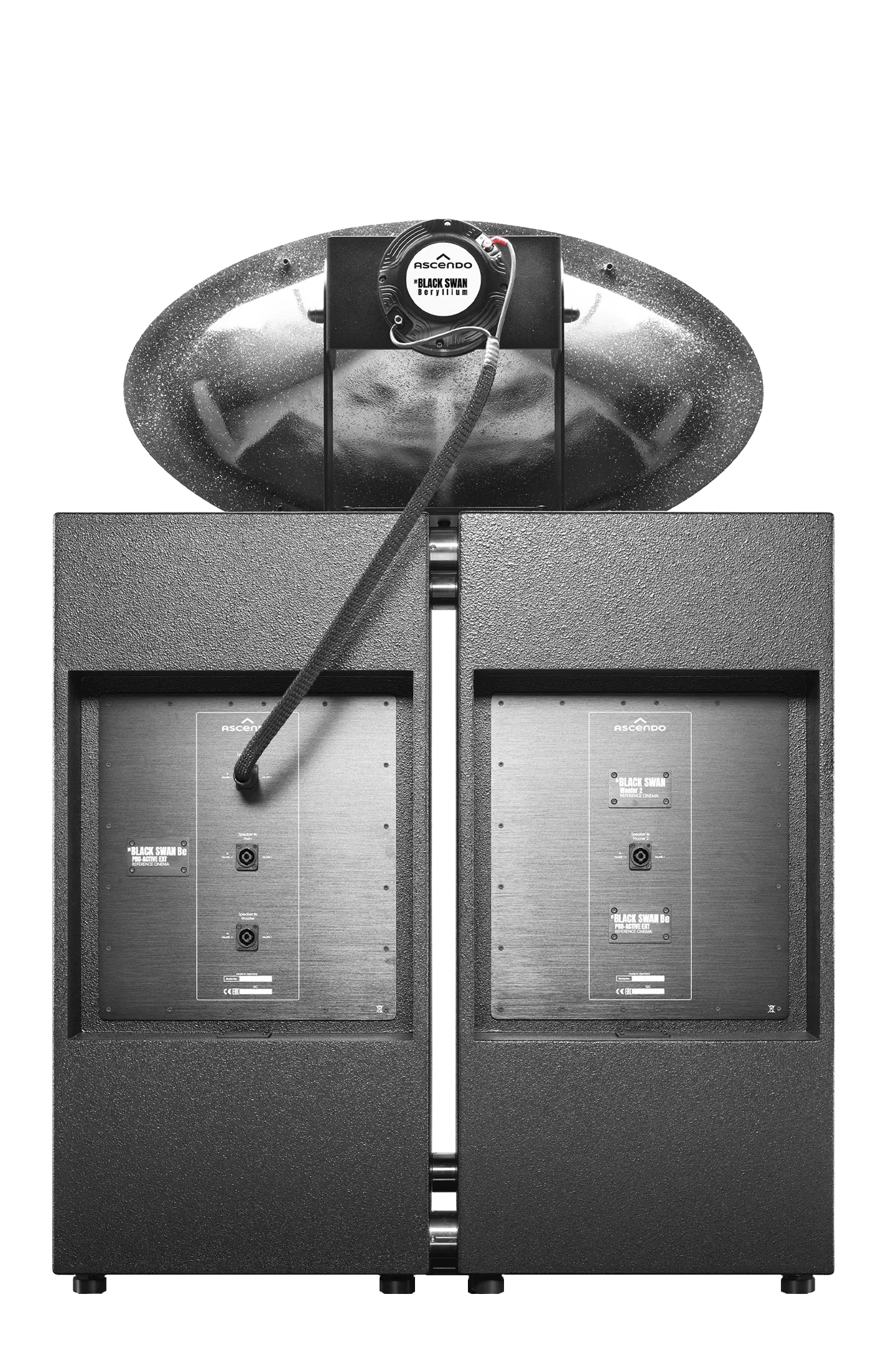 Photos-2 THE_BLACK_SWAN_PRO_AE_RC.png